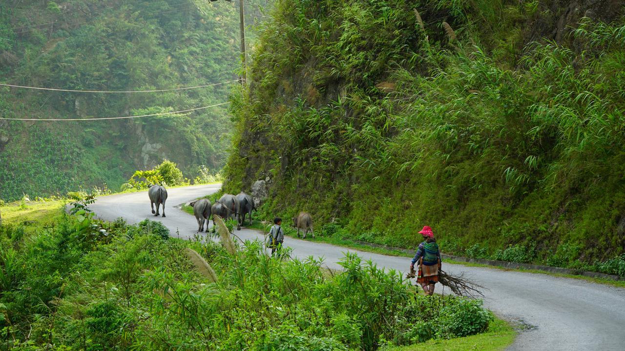 Huy Trung Homestay Бак-Ха Екстер'єр фото