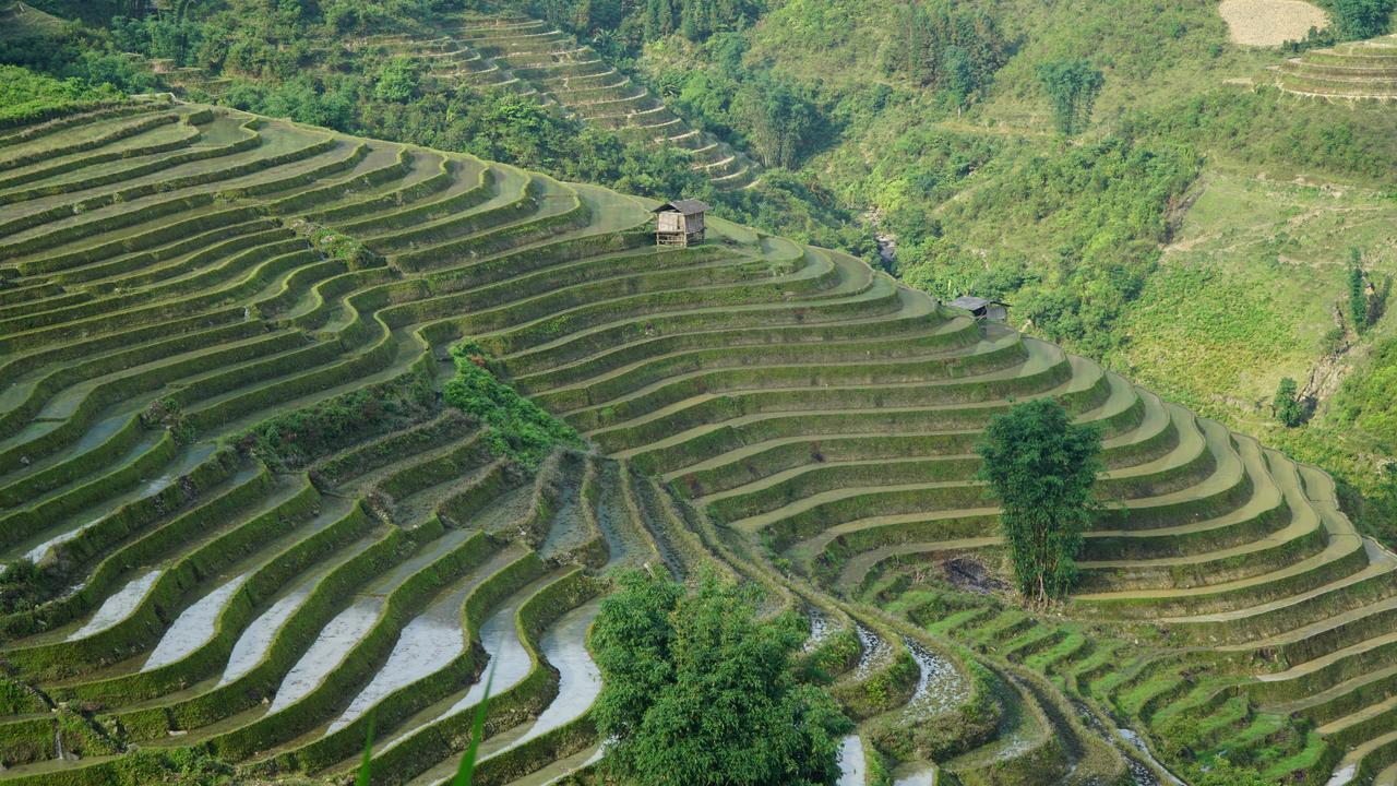 Huy Trung Homestay Бак-Ха Екстер'єр фото