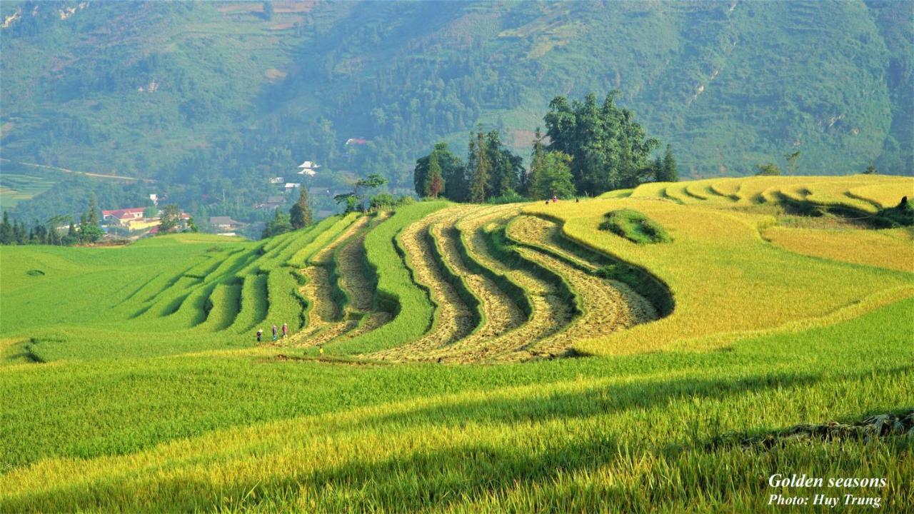 Huy Trung Homestay Бак-Ха Екстер'єр фото